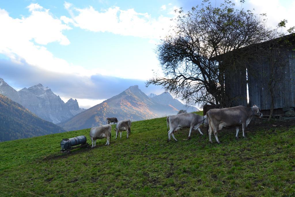 Haus Marco Appartement Neustift im Stubaital Buitenkant foto