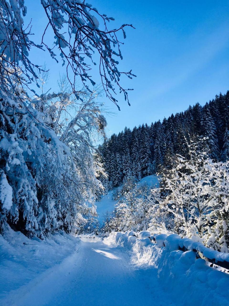 Haus Marco Appartement Neustift im Stubaital Buitenkant foto
